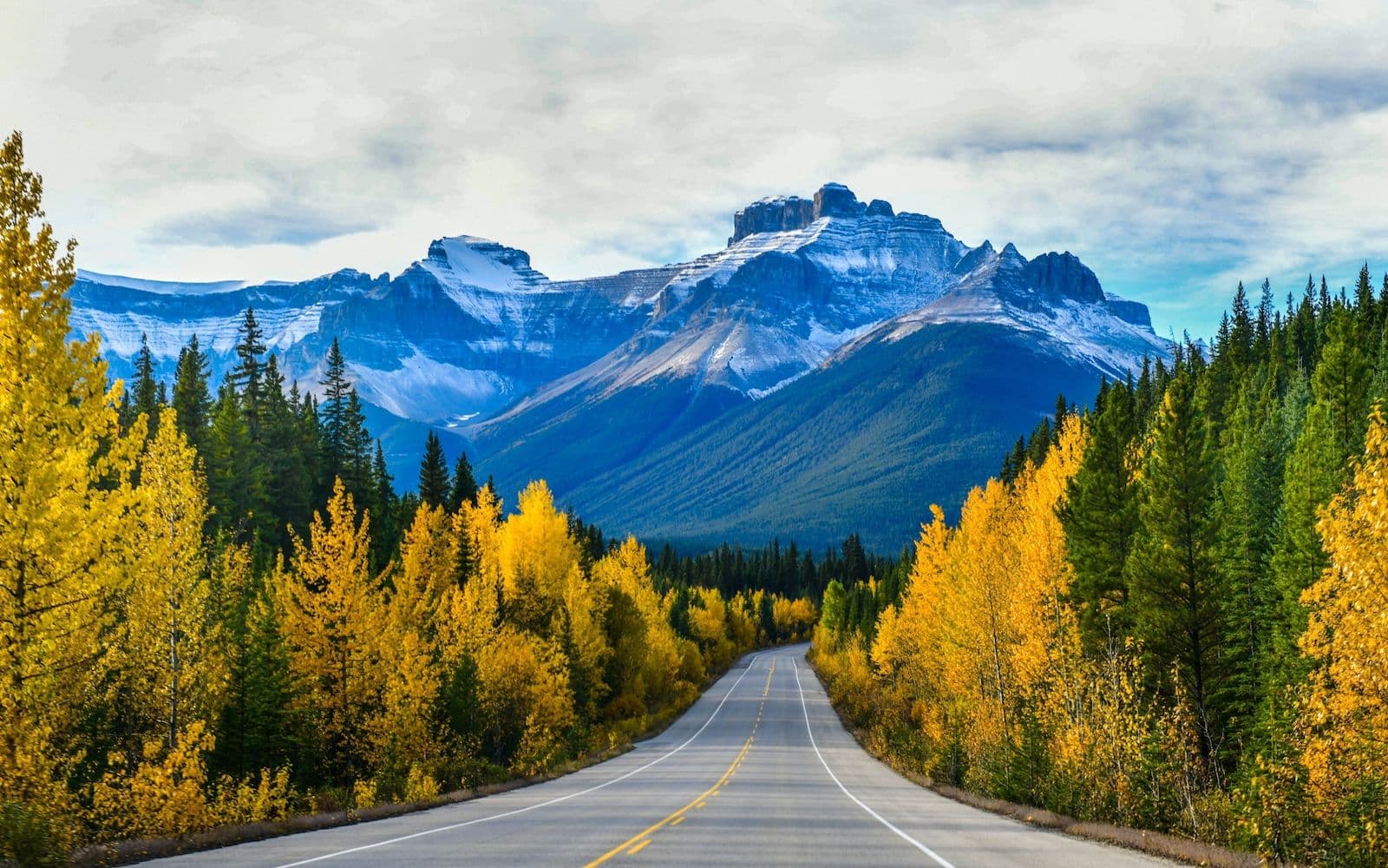 Moves to Canada-label-picture